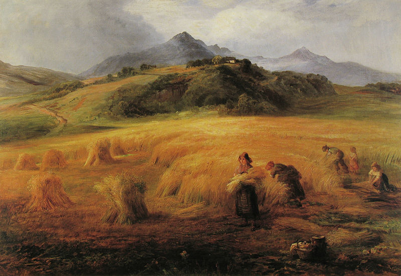 Harvesting in Arran